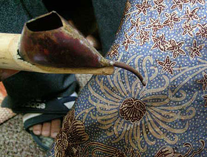 Seni Delegasi