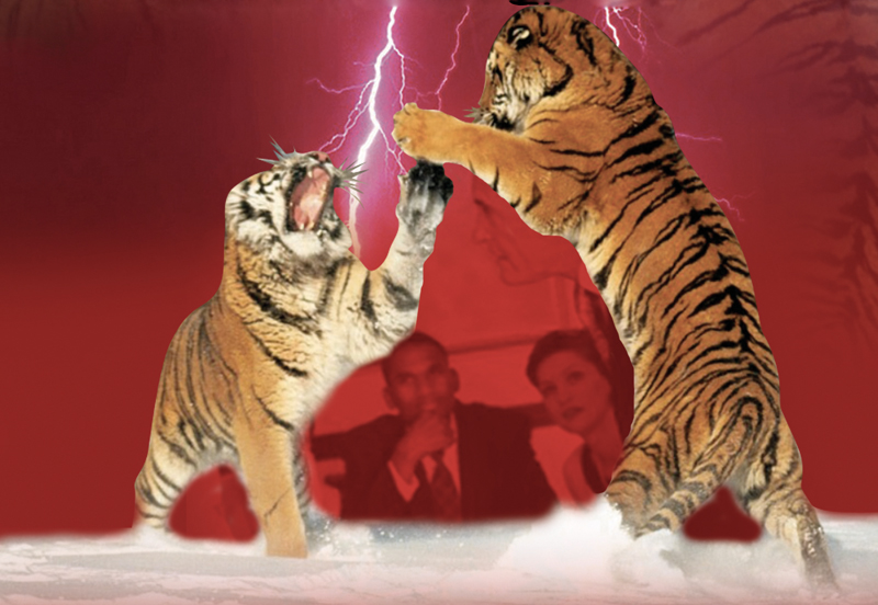 bg conflict