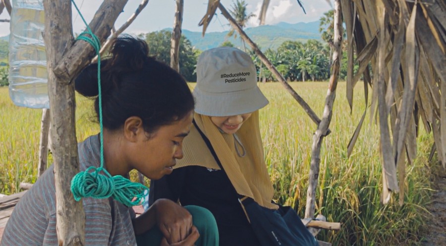 Asisten Pandawa Agri Indonesia mendampingi petani