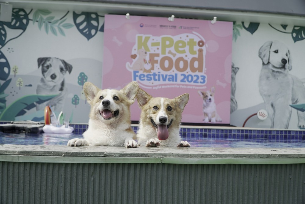 K-Pet Food Festival