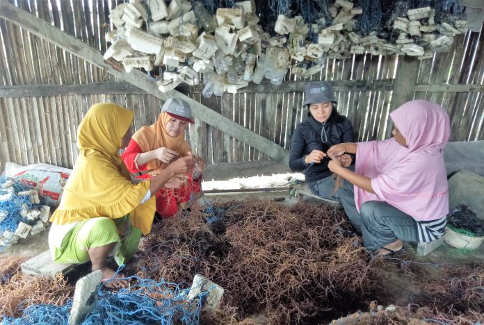 FedEx Cares: Meningkatkan Ekonomi Petani Rumput Laut Wakatobi